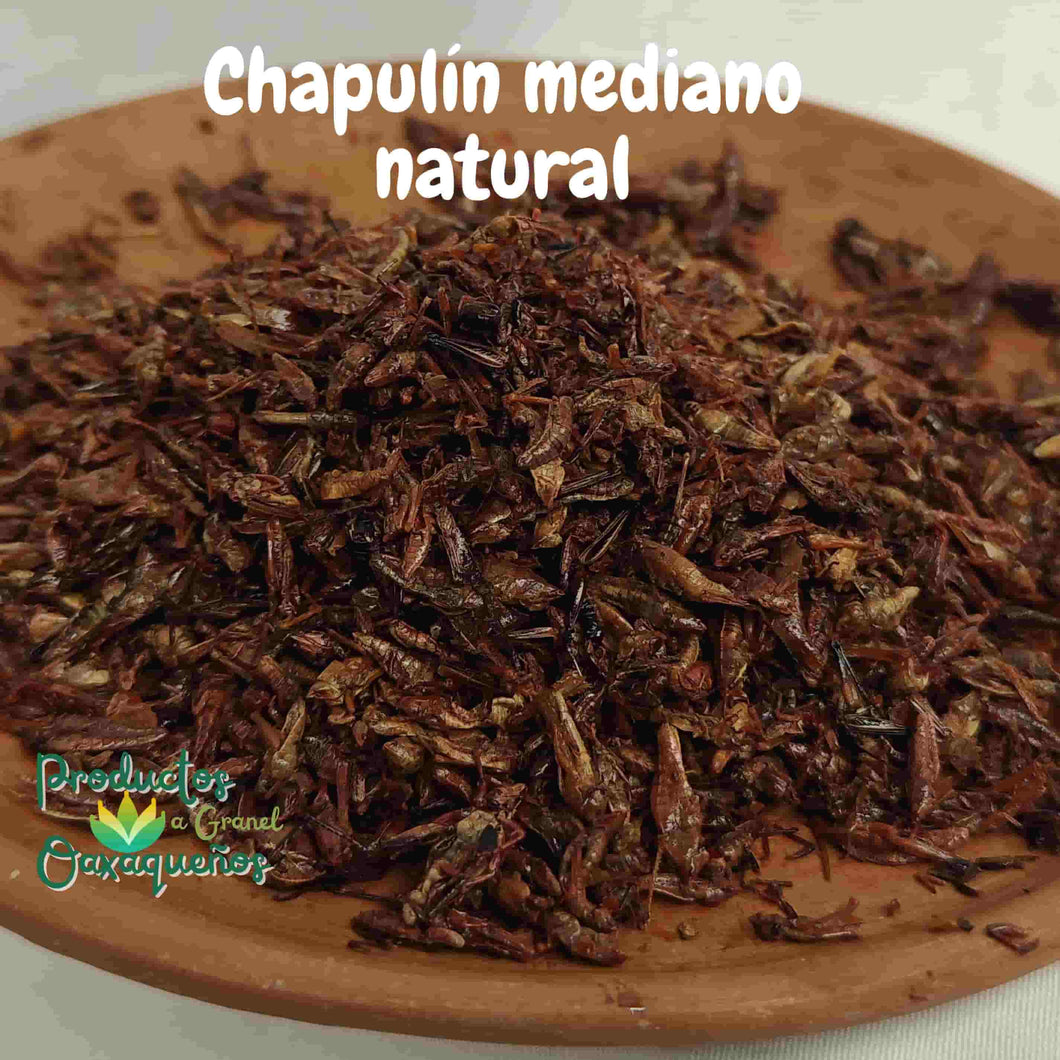 Chapulín oaxaqueño 1 Kg