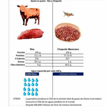 Cargar imagen en el visor de la galería, Chapulín oaxaqueño 1 Kg
